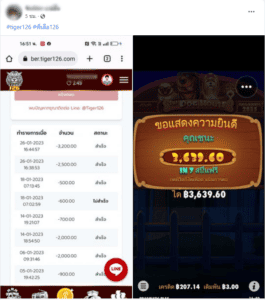 tiger126: หน้าหลัก 15 รีวิวสล็อตแจ็คพอตแตก 2