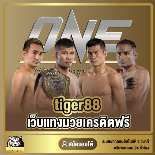 tiger88 แทงมวยเครดิตฟรี