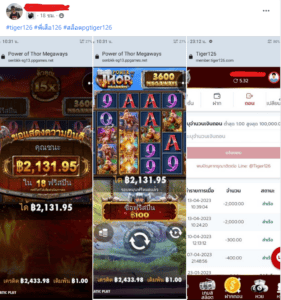 tiger126: หน้าหลัก 23 รีวิวสล็อตแจ็คพอตแตก 7